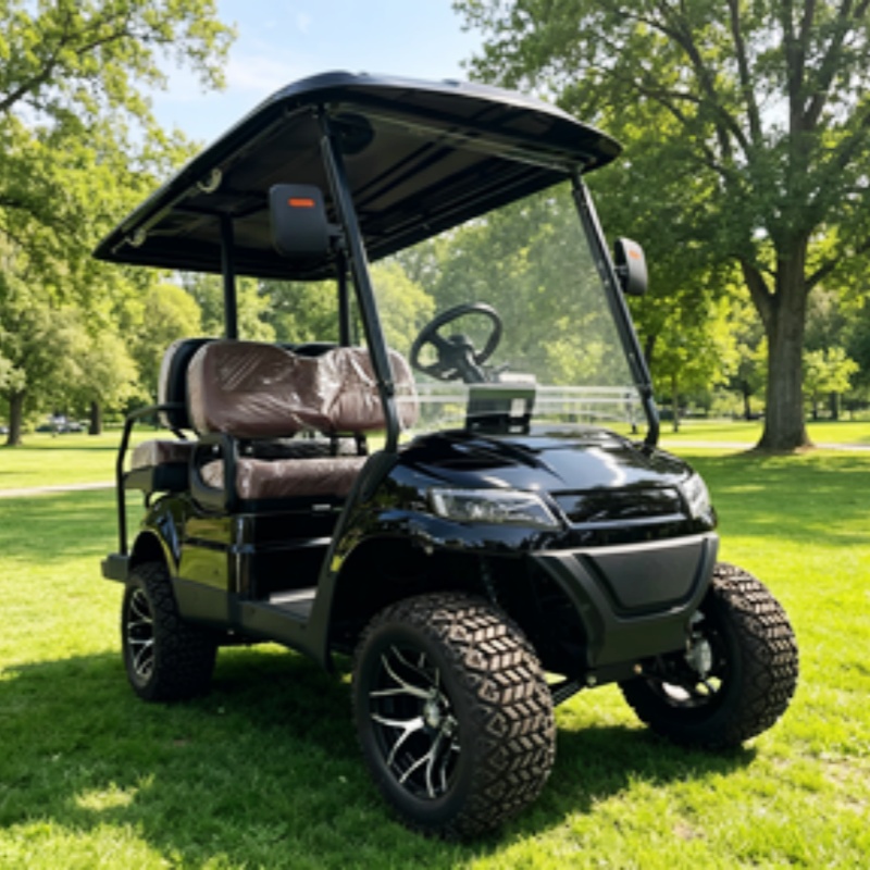 Street Legal Golf Cart Buggy S - Golf Bag Stand Cart review and price