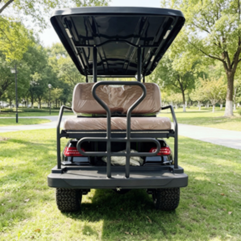 Street Legal Golf Cart Buggy S - Golf Bag Stand Cart review and price